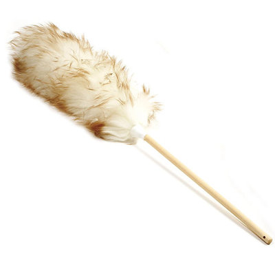 24' LAMPS WOOL DUSTER EA